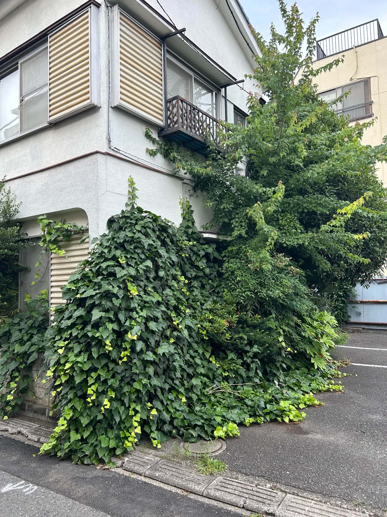 八王子 空き家管理サービス