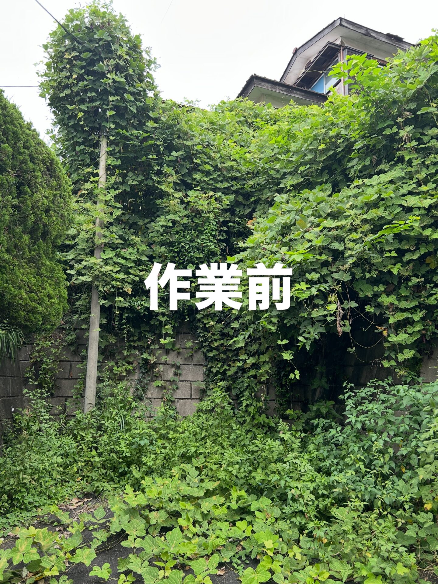 八王子 空き家管理サービス